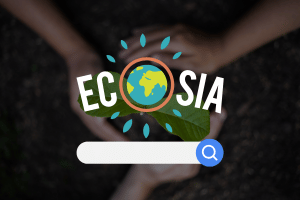 Hands cradling a young plant with the Ecosia logo superimposed.